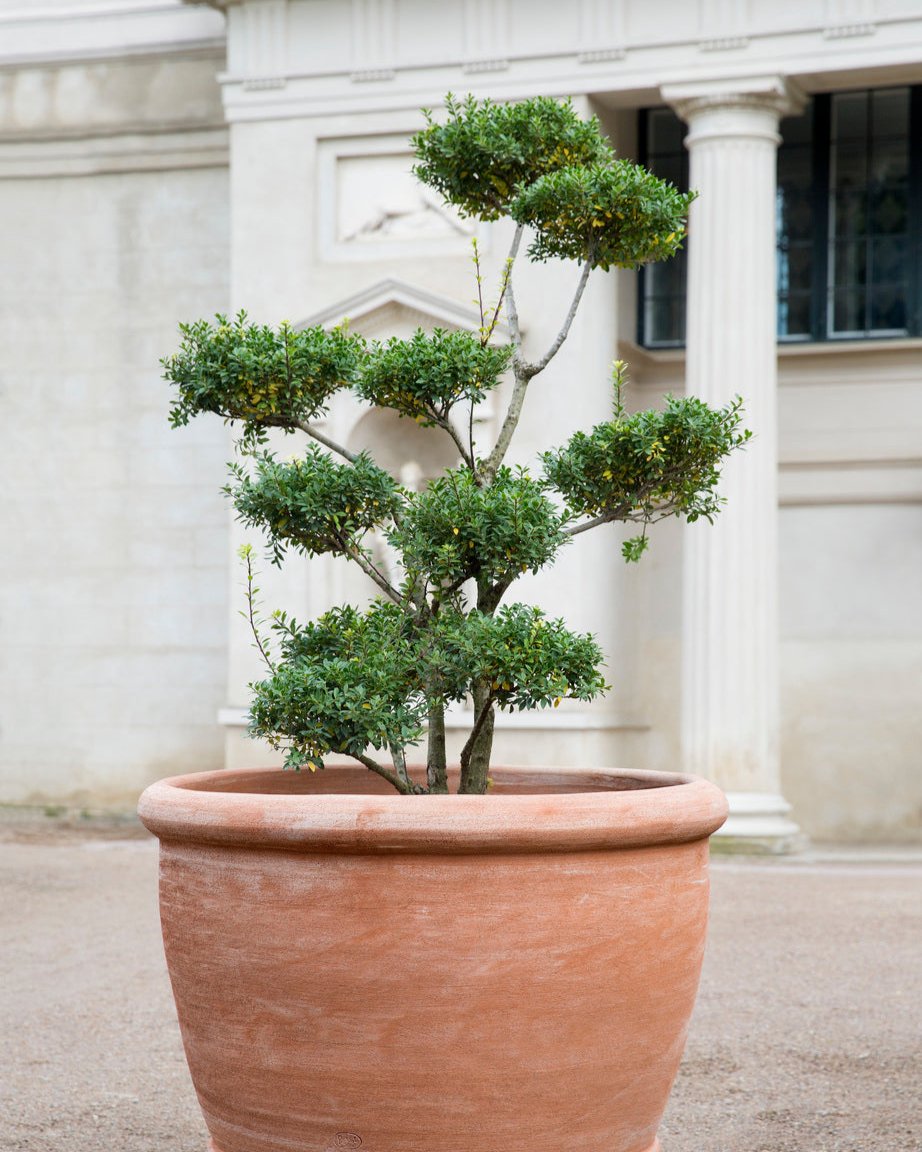 files/BERGS-POTTER_OUTDOOR_RAW_CAMPANA_RARO_8E0A7355_Kgs-have_TBH.jpg